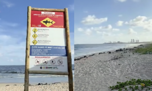 TRAGÉDIA NA PRAIA DEL CHIFRE: MORTE DE ADOLESCENTE REACENDE O DEBATE SOBRE O PERIGO DOS TUBARÕES EM OLINDA